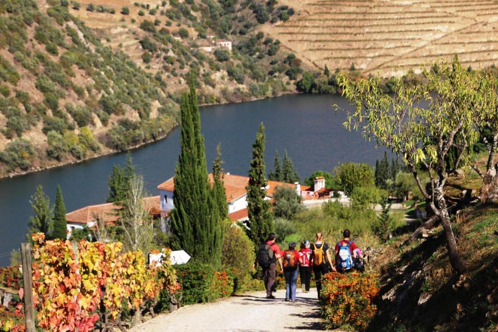 Douro Yacht Charter & Bungalows Sao Joao da Pesqueira Exterior photo