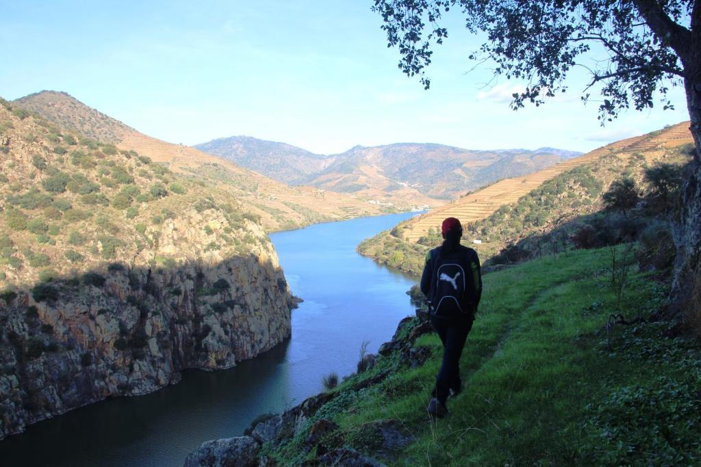 Douro Yacht Charter & Bungalows Sao Joao da Pesqueira Exterior photo